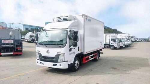 轻型货车运输冷藏保鲜与危险货物 是否需要两证及普通货物道路运输解析